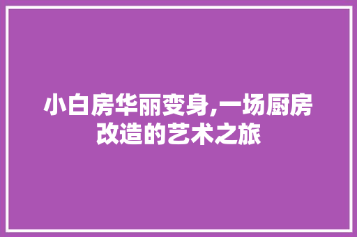 小白房华丽变身,一场厨房改造的艺术之旅