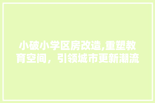 小破小学区房改造,重塑教育空间，引领城市更新潮流