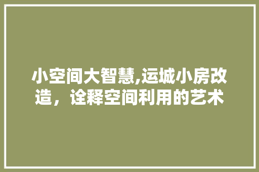 小空间大智慧,运城小房改造，诠释空间利用的艺术