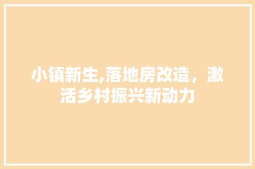 小镇新生,落地房改造，激活乡村振兴新动力