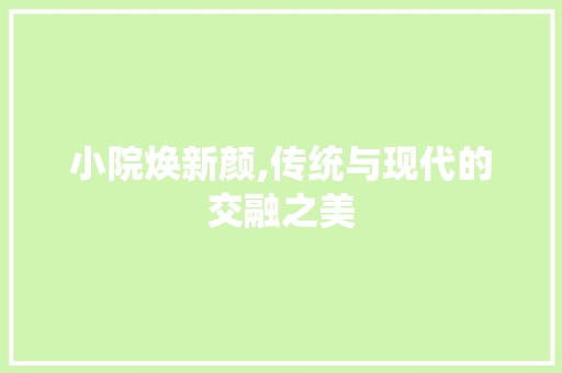 小院焕新颜,传统与现代的交融之美