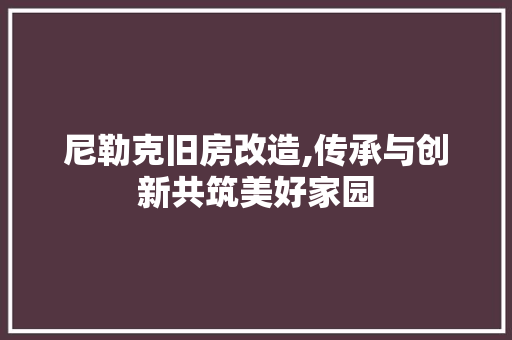 尼勒克旧房改造,传承与创新共筑美好家园
