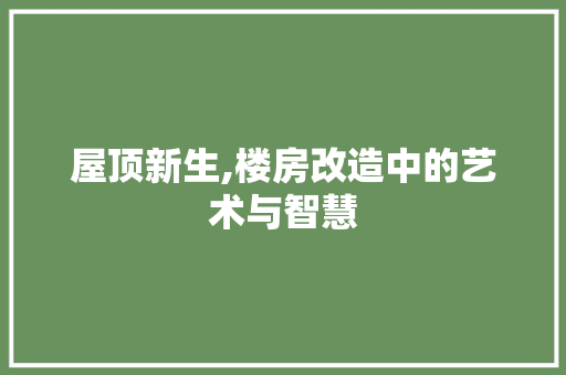 屋顶新生,楼房改造中的艺术与智慧