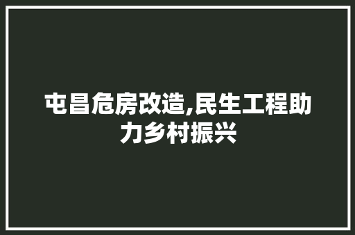 屯昌危房改造,民生工程助力乡村振兴