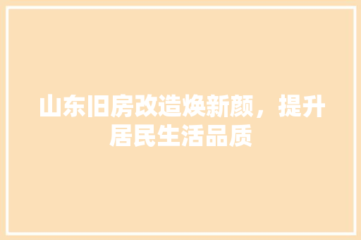 山东旧房改造焕新颜，提升居民生活品质