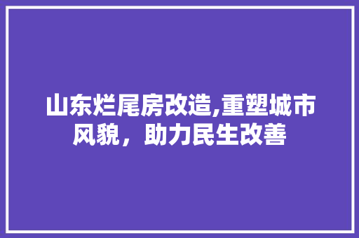 山东烂尾房改造,重塑城市风貌，助力民生改善