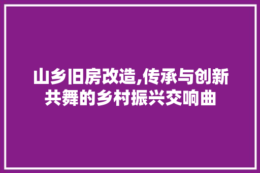 山乡旧房改造,传承与创新共舞的乡村振兴交响曲