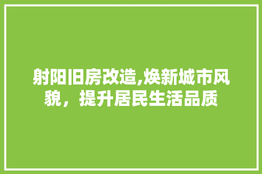射阳旧房改造,焕新城市风貌，提升居民生活品质
