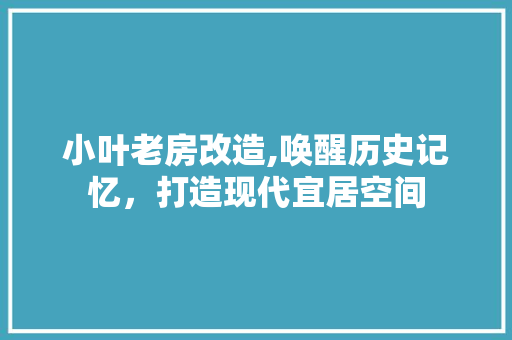 小叶老房改造,唤醒历史记忆，打造现代宜居空间
