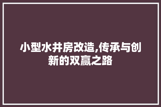 小型水井房改造,传承与创新的双赢之路