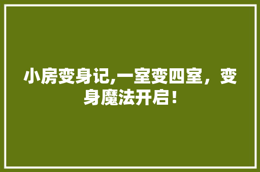 小房变身记,一室变四室，变身魔法开启！