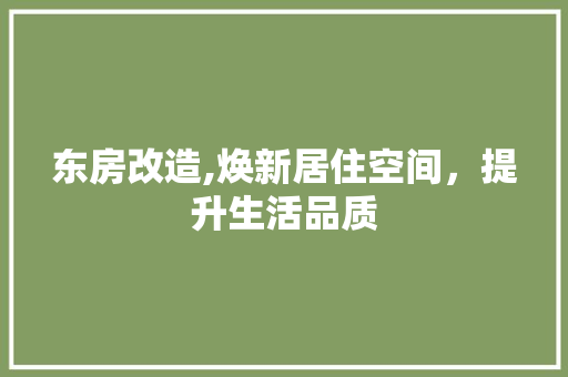 东房改造,焕新居住空间，提升生活品质