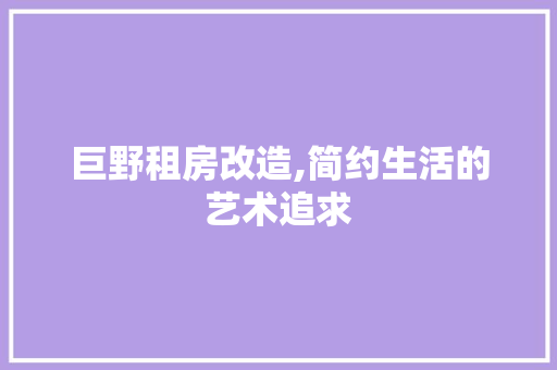 巨野租房改造,简约生活的艺术追求