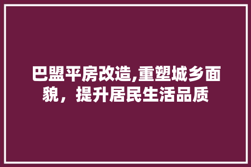 巴盟平房改造,重塑城乡面貌，提升居民生活品质