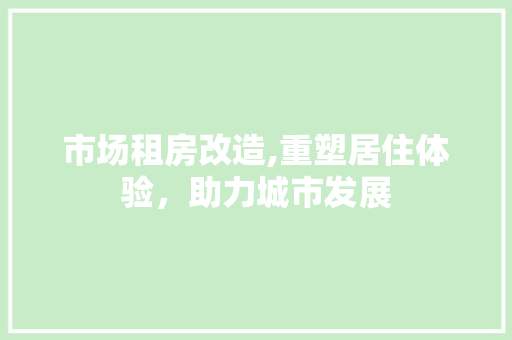 市场租房改造,重塑居住体验，助力城市发展