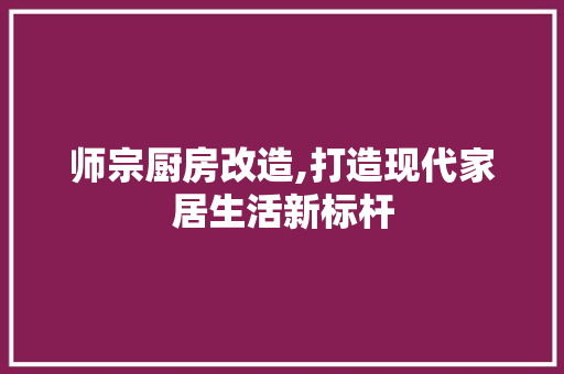师宗厨房改造,打造现代家居生活新标杆