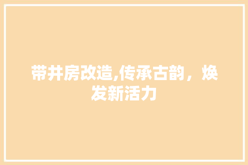 带井房改造,传承古韵，焕发新活力