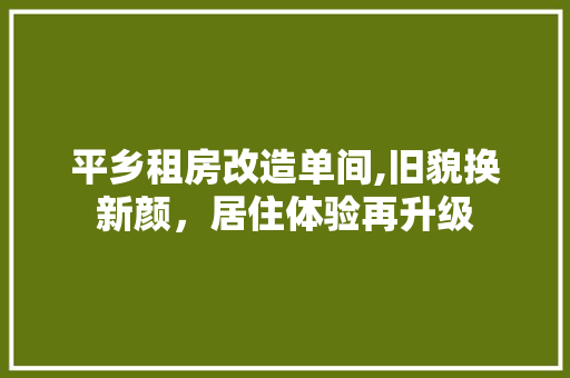 平乡租房改造单间,旧貌换新颜，居住体验再升级