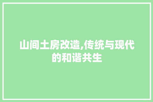 山间土房改造,传统与现代的和谐共生