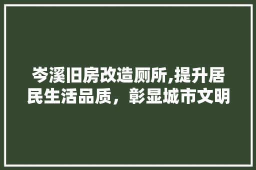 岑溪旧房改造厕所,提升居民生活品质，彰显城市文明进步