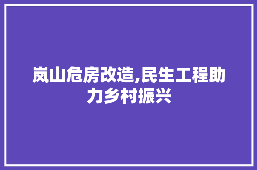 岚山危房改造,民生工程助力乡村振兴