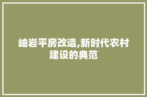 岫岩平房改造,新时代农村建设的典范