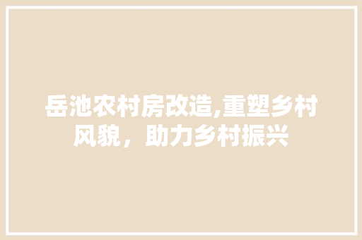 岳池农村房改造,重塑乡村风貌，助力乡村振兴 装修材料