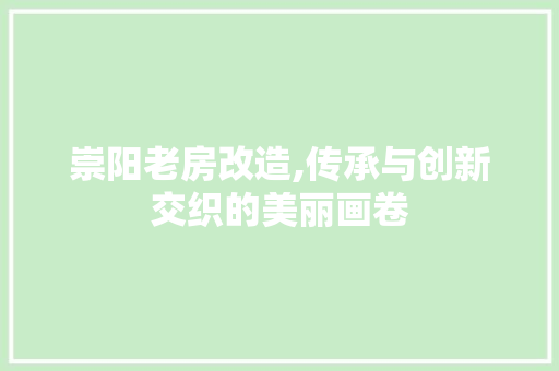 崇阳老房改造,传承与创新交织的美丽画卷