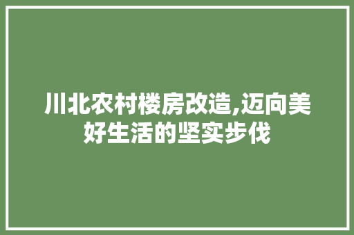 川北农村楼房改造,迈向美好生活的坚实步伐