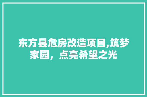 东方县危房改造项目,筑梦家园，点亮希望之光