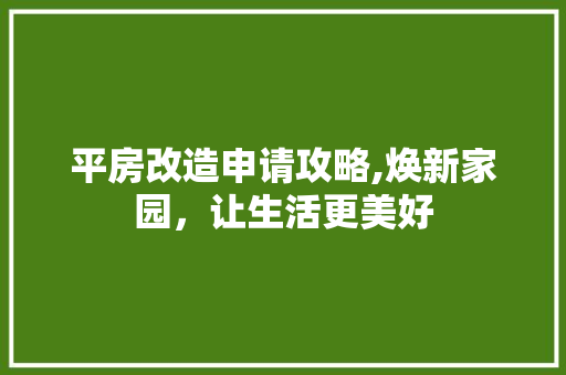 平房改造申请攻略,焕新家园，让生活更美好