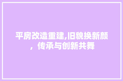 平房改造重建,旧貌换新颜，传承与创新共舞