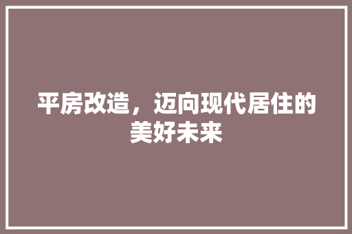 平房改造，迈向现代居住的美好未来