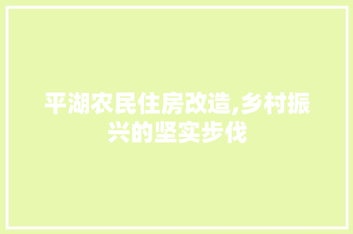 平湖农民住房改造,乡村振兴的坚实步伐