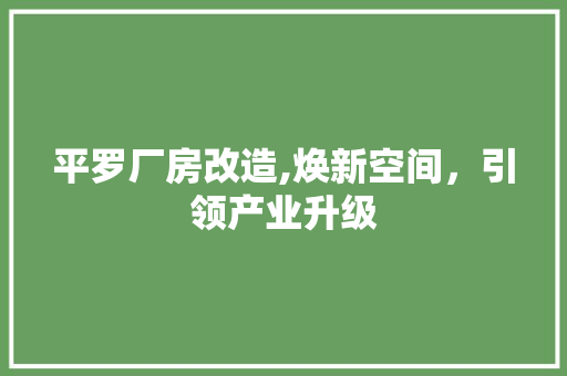 平罗厂房改造,焕新空间，引领产业升级