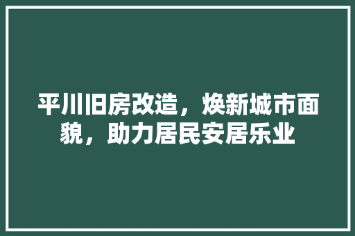 平川旧房改造，焕新城市面貌，助力居民安居乐业