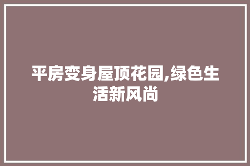 平房变身屋顶花园,绿色生活新风尚