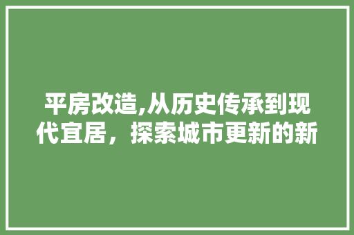 平房改造,从历史传承到现代宜居，探索城市更新的新路径
