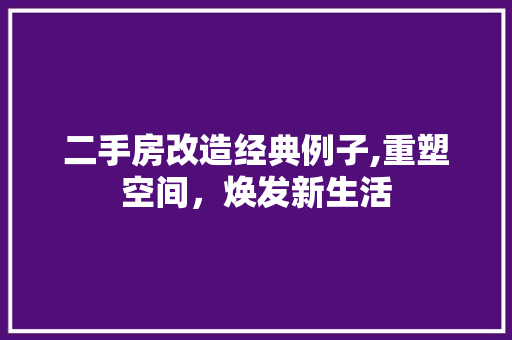 二手房改造经典例子,重塑空间，焕发新生活