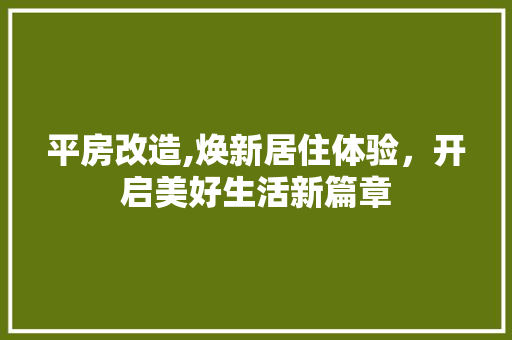平房改造,焕新居住体验，开启美好生活新篇章