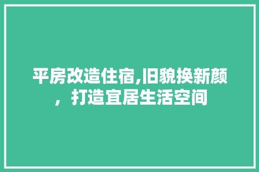 平房改造住宿,旧貌换新颜，打造宜居生活空间