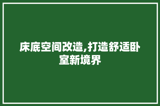 床底空间改造,打造舒适卧室新境界