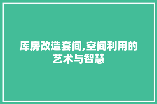 库房改造套间,空间利用的艺术与智慧