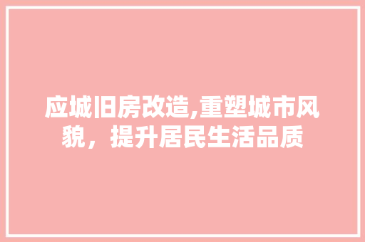 应城旧房改造,重塑城市风貌，提升居民生活品质