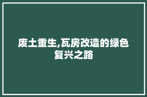 废土重生,瓦房改造的绿色复兴之路