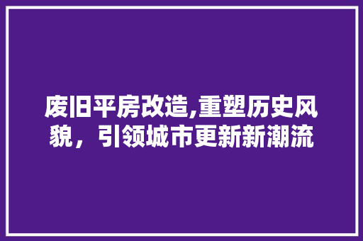 废旧平房改造,重塑历史风貌，引领城市更新新潮流
