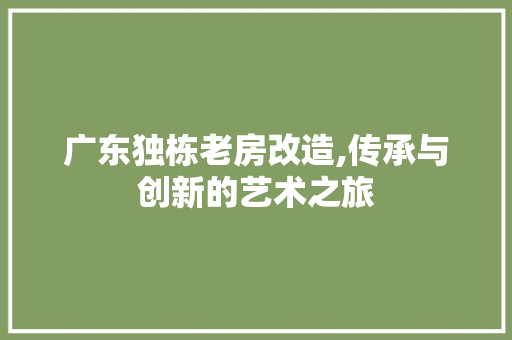 广东独栋老房改造,传承与创新的艺术之旅