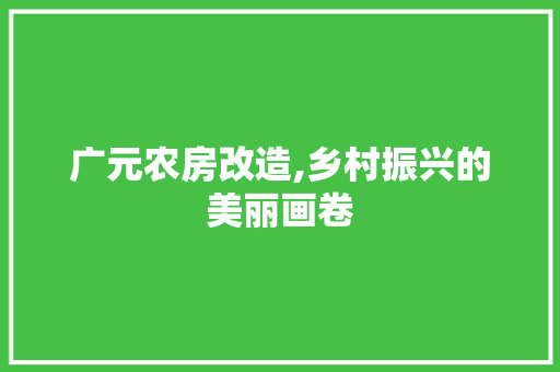 广元农房改造,乡村振兴的美丽画卷