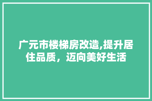 广元市楼梯房改造,提升居住品质，迈向美好生活