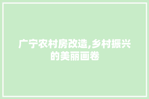 广宁农村房改造,乡村振兴的美丽画卷